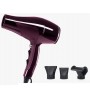 Secador Profesional Ctrend R-3600 Perfect Beauty