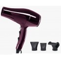 Secador Profesional Ctrend R-3600 Perfect Beauty