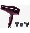Secador Profesional Ctrend R-3600 Perfect Beauty